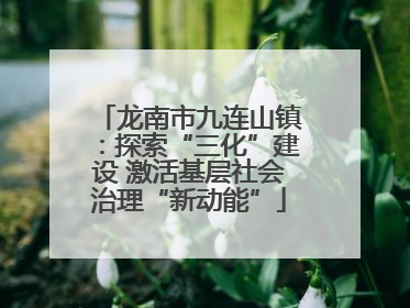 龙南市九连山镇：探索“三化”建设 激活基层社会治理“新动能”