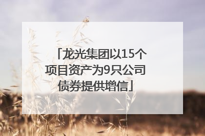 龙光集团以15个项目资产为9只公司债券提供增信