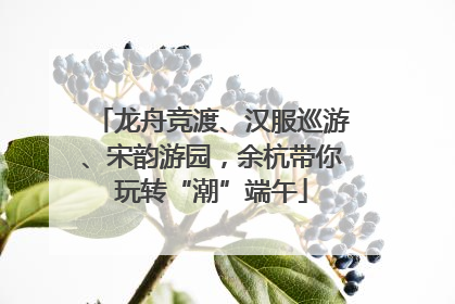 龙舟竞渡、汉服巡游、宋韵游园，余杭带你玩转“潮”端午