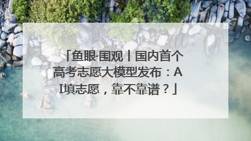 鱼眼·围观丨国内首个高考志愿大模型发布：AI填志愿，靠不靠谱？