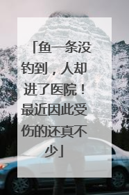鱼一条没钓到，人却进了医院！最近因此受伤的还真不少