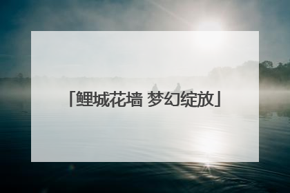 鲤城花墙 梦幻绽放