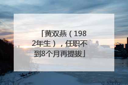 黄双燕（1982年生），任职不到8个月再提拔