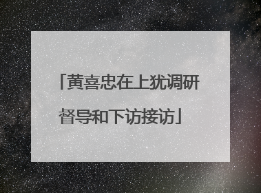黄喜忠在上犹调研督导和下访接访