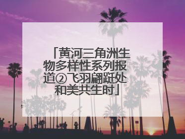 黄河三角洲生物多样性系列报道②飞羽翩跹处 和美共生时