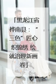 黑龙江省桦南县：“三色”匠心织锦绣 绘就治理新画卷