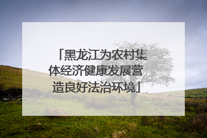 黑龙江为农村集体经济健康发展营造良好法治环境