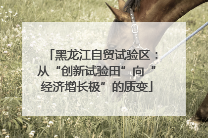 黑龙江自贸试验区：从“创新试验田”向“经济增长极”的质变