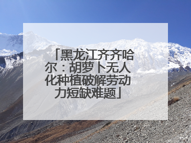 黑龙江齐齐哈尔：胡萝卜无人化种植破解劳动力短缺难题