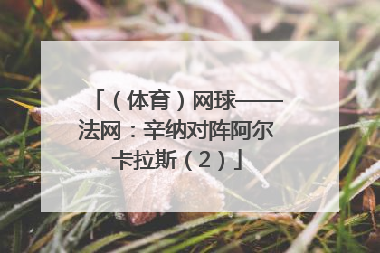 （体育）网球——法网：辛纳对阵阿尔卡拉斯（2）