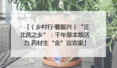 （乡村行·看振兴）“正北芪之乡”：千年草本焕活力 药材生“金”富农家
