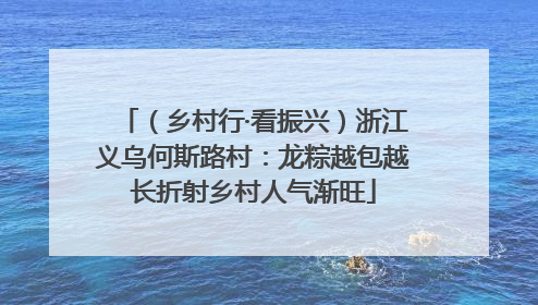 （乡村行·看振兴）浙江义乌何斯路村：龙粽越包越长折射乡村人气渐旺