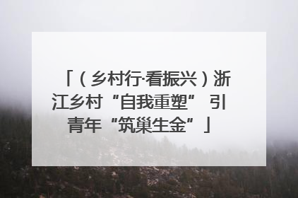 （乡村行·看振兴）浙江乡村“自我重塑” 引青年“筑巢生金”
