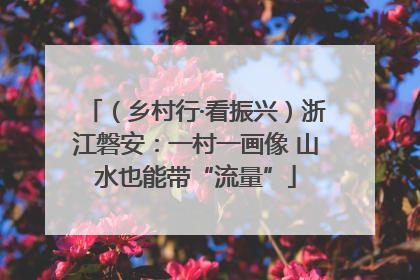 （乡村行·看振兴）浙江磐安：一村一画像 山水也能带“流量”