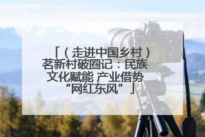 （走进中国乡村）茗新村破圈记：民族文化赋能 产业借势 “网红东风”