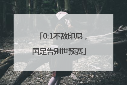 0:1不敌印尼，国足告别世预赛