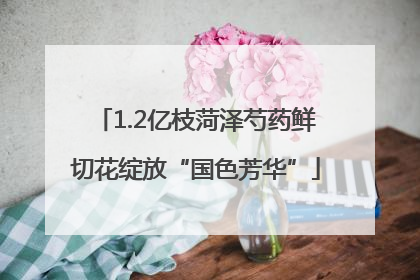 1.2亿枝菏泽芍药鲜切花绽放“国色芳华”