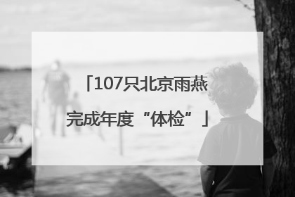 107只北京雨燕完成年度“体检”