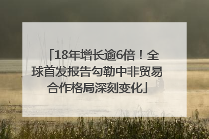 18年增长逾6倍！全球首发报告勾勒中非贸易合作格局深刻变化