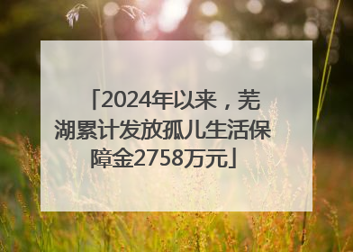 2024年以来，芜湖累计发放孤儿生活保障金2758万元