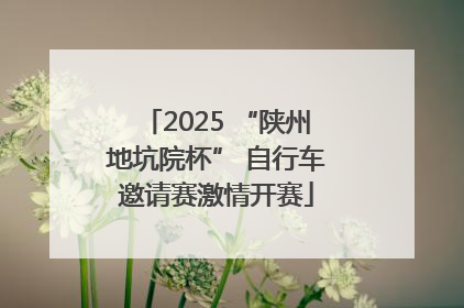 2025 “陕州地坑院杯” 自行车邀请赛激情开赛