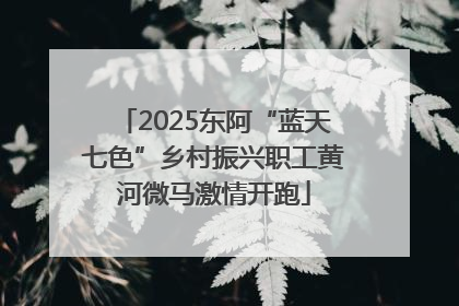 2025东阿“蓝天七色”乡村振兴职工黄河微马激情开跑