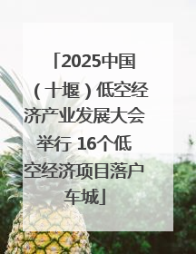 2025中国（十堰）低空经济产业发展大会举行 16个低空经济项目落户车城