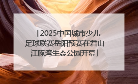2025中国城市少儿足球联赛岳阳预赛在君山江豚湾生态公园开幕