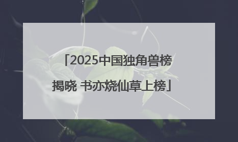 2025中国独角兽榜揭晓 书亦烧仙草上榜