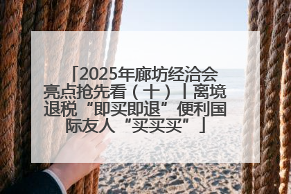 2025年廊坊经洽会亮点抢先看（十）丨离境退税“即买即退”便利国际友人“买买买”