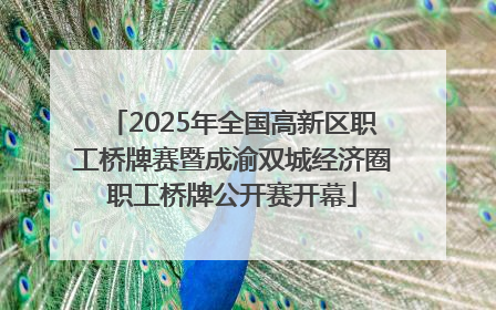 2025年全国高新区职工桥牌赛暨成渝双城经济圈职工桥牌公开赛开幕