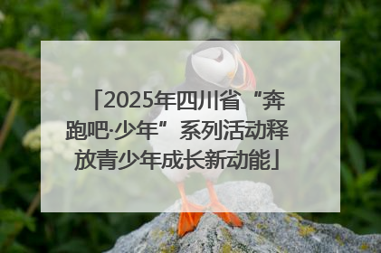 2025年四川省“奔跑吧·少年”系列活动释放青少年成长新动能