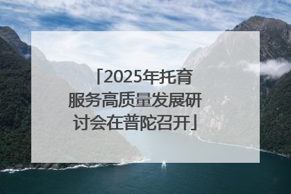 2025年托育服务高质量发展研讨会在普陀召开