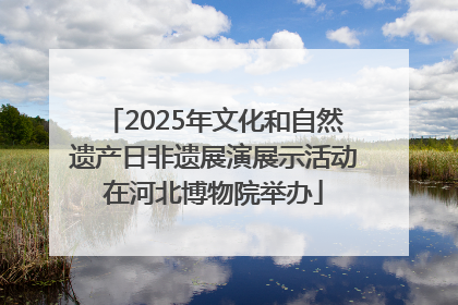2025年文化和自然遗产日非遗展演展示活动在河北博物院举办