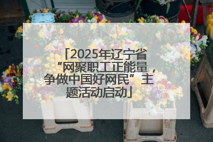2025年辽宁省“网聚职工正能量，争做中国好网民”主题活动启动