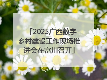 2025广西数字乡村建设工作现场推进会在富川召开