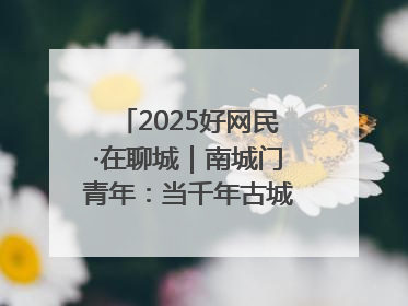 2025好网民·在聊城｜南城门青年：当千年古城遇见青春歌谣 一湖碧水见证的“聊城式浪漫”