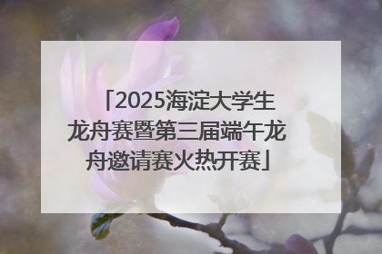 2025海淀大学生龙舟赛暨第三届端午龙舟邀请赛火热开赛