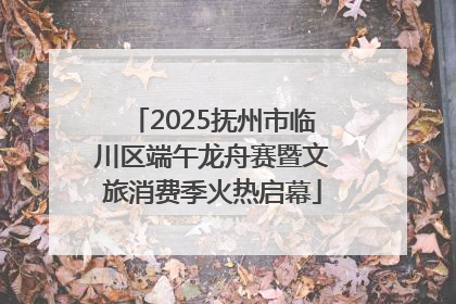 2025抚州市临川区端午龙舟赛暨文旅消费季火热启幕