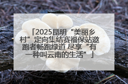 2025昆明“美丽乡村”定向集结赛福保站邀跑者畅跑绿道 尽享“有一种叫云南的生活”