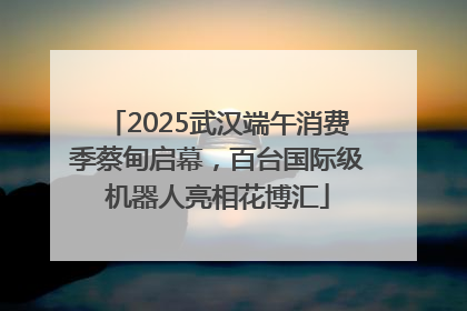 2025武汉端午消费季蔡甸启幕，百台国际级机器人亮相花博汇