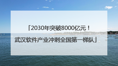 2030年突破8000亿元！武汉软件产业冲刺全国第一梯队