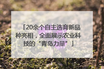 20余个自主选育新品种亮相，全面展示农业科技的“青岛力量”