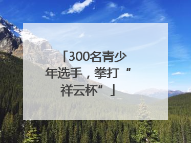 300名青少年选手，拳打“祥云杯”