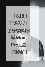 618下半场发力！苏宁易购多城Max、Pro店加速焕新