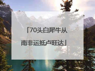 70头白犀牛从南非运抵卢旺达