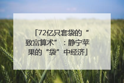 72亿只套袋的“致富算术”：静宁苹果的“袋”中经济