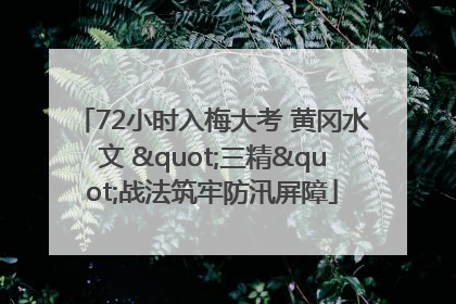 72小时入梅大考 黄冈水文 "三精"战法筑牢防汛屏障