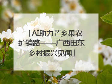 AI助力芒乡果农扩销路——广西田东乡村振兴见闻