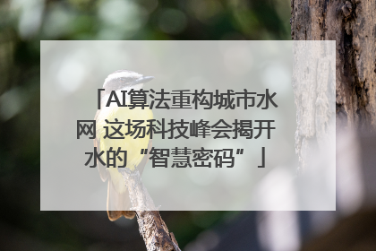 AI算法重构城市水网 这场科技峰会揭开水的“智慧密码”